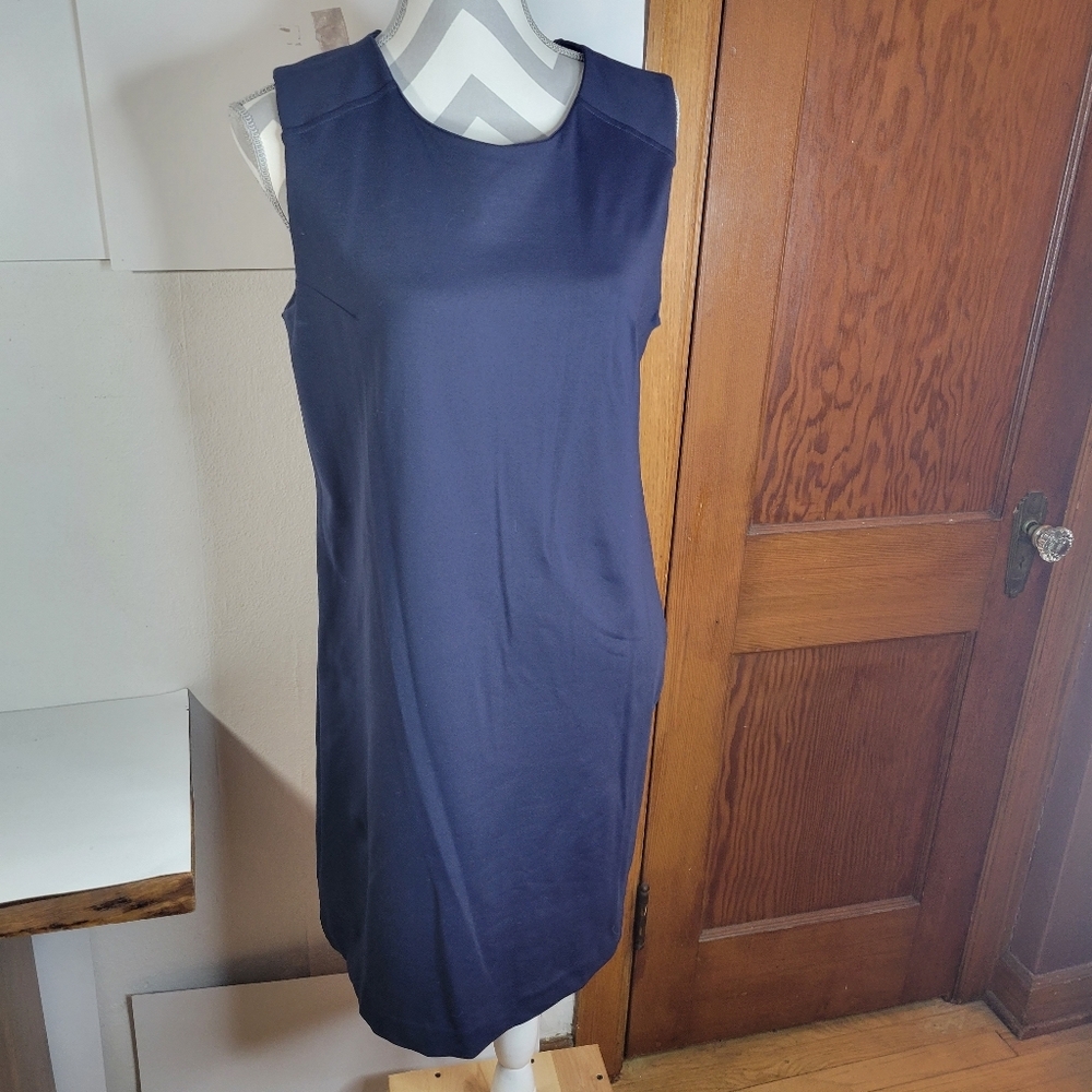 Womans Donna Ricco New York Navy Sleeveless Sheath Dress Size Large